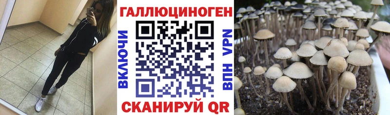 Галлюциногенные грибы GOLDEN TEACHER Павловск