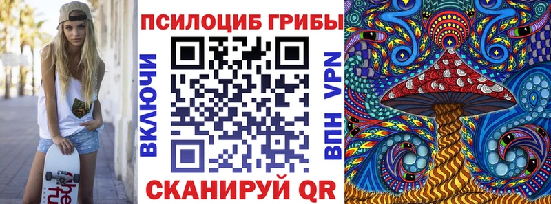 Купить закладки  Павловск  Псилоцибиновые грибы Psilocybine cubensis 